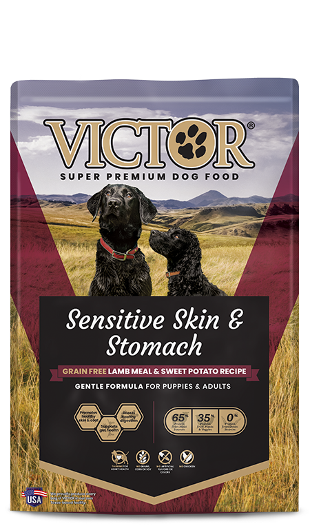 Victor Pet Sensitive Skin & Stomach Grain Free Lamb Meal & Sweet Potato  Recipe Dry Dog Food - Glendale, AZ - Apache Junction, AZ