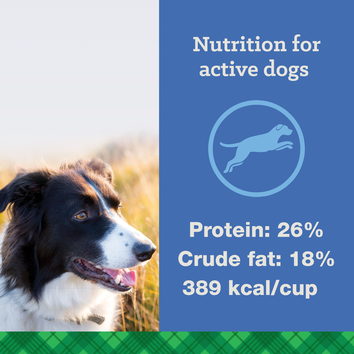 Nutrena True Active 26 18 Dog Food Glendale AZ Apache Junction AZ The Stock Shop Feed Pet