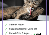 Vet Worthy Urinary Paw Gel for Cats (3 oz)