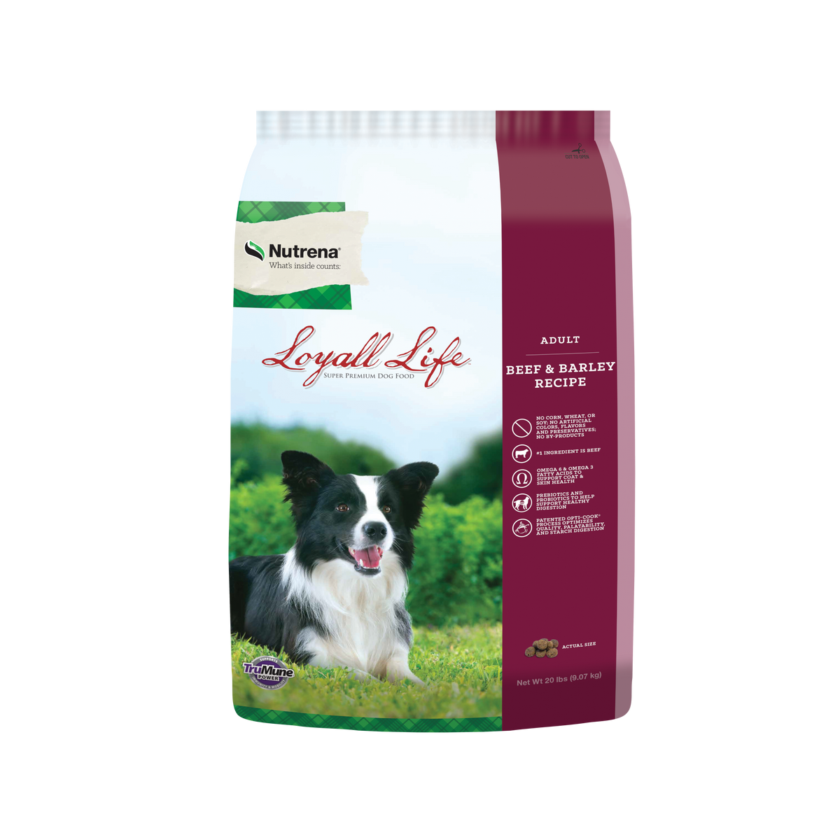 Nutrena Loyall Life Adult Beef Barley Glendale AZ Apache
