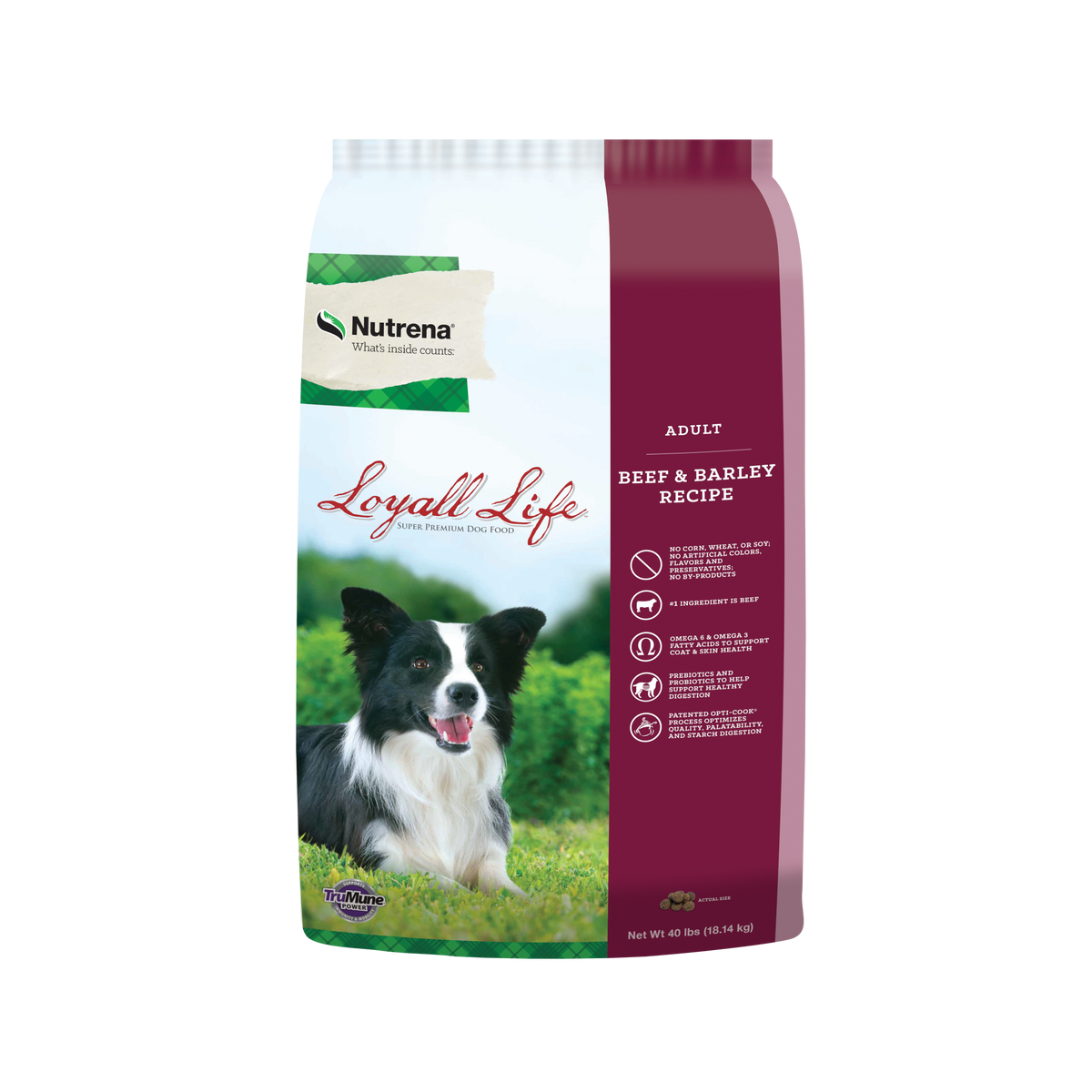 Nutrena hotsell loyall puppy