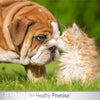 Four Paws® Healthy Promise™ Cat & Dog Eye Wipes