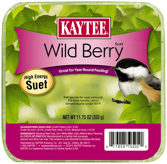 Kaytee Wild Berry Suet