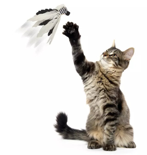 Petlinks® Instincts Zingy Zebra™ Feathered Toss and Chase Cat Toy with HappyNip™ Silvervine & Catnip