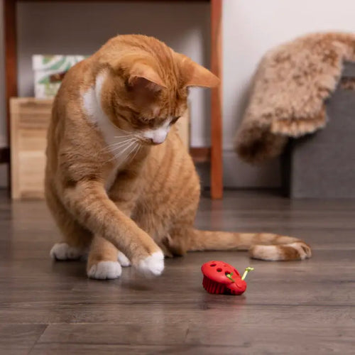 SmartyKat Instincts Rowdy Rumbler™ Electronic Motion Cat Toy