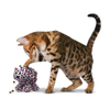 KONG Puzzlements Forage Kitty Cat Toy