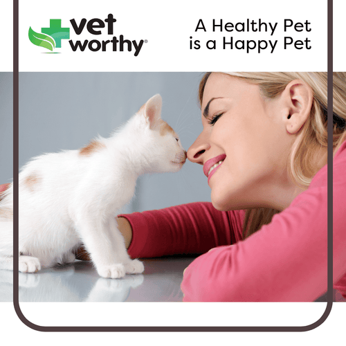 Vet Worthy Pet Hemostat