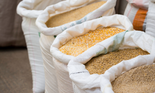 Sacks of grains, including corn and wheat, are neatly arranged in a row. The image conveys abundance and variety in a market setting.
