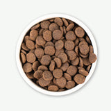 Earthborn Holistic Venture Alaska Pollock Meal & Pumpkin Dry Dog Food