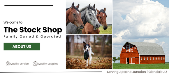 Stock shop hotsell