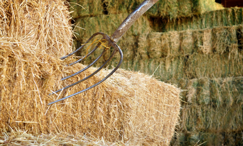 Close-up of a metal pitchfork stuck into a stack of golden hay bales. The scene conveys a rustic, farm-like atmosphere with earthy textures.