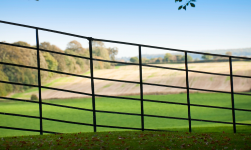 A slanted metal fence with a grid pattern crosses lush green fields under a clear blue sky, evoking a calm and serene countryside atmosphere.