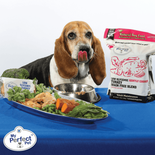 My Perfect Pet Tino’s Glycemic Friendly Turkey Blend