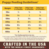 Primal Pet Foods Kibble in the Raw Puppy Recipe (1.5 LB)