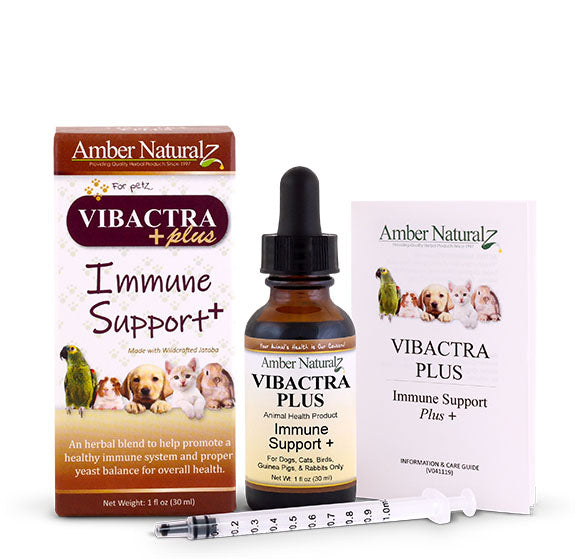 Amber Naturalz VIBACTRA PLUS Immune Support