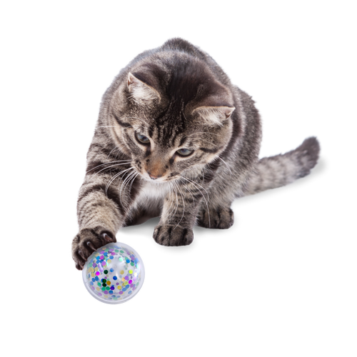 KONG Active Confetti Ball Cat Toy