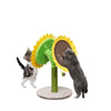 PetPals Scratcher Double Bloom Sunflower