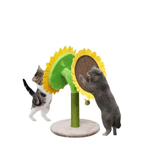 PetPals Scratcher Double Bloom Sunflower