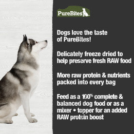 PureBites Beef Recipe Dog Food Topper