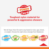 Nylabone Power Chew Gator Tail Alternative Chew Toy for Dogs
