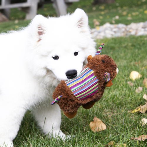 KONG Sherps Yak Dog Toy