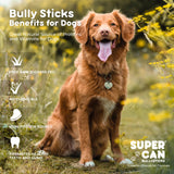 Supercan 6" Standard Bully Sticks (6")