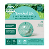 Oxbow Animal Health Enriched Life - Run Around Ball