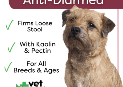 Vet Worthy Anti-Diarrhea for Dogs