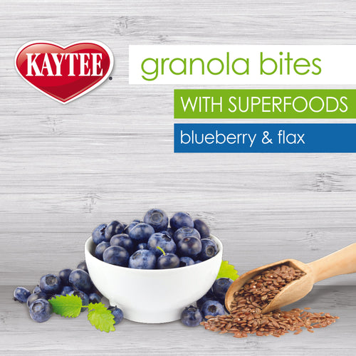 Kaytee Granola Bites with Superfoods Blueberry & Flax Bird Treats