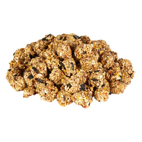 Kaytee Granola Bites with Superfoods Blueberry & Flax Bird Treats