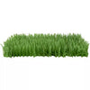 Petlinks® Instincts Meadow Mayhem™ Paper Grass Hide and Seek Cat Toy