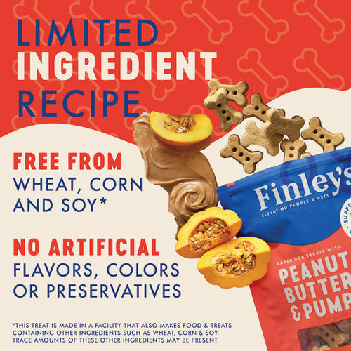 Finley's Peanut Butter & Pumpkin Crunchy Biscuits Dog Treats