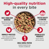 Nulo Freeze-Dried Raw Chicken & Blueberries