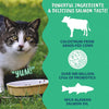 Under the Weather Pet 3-in-1 Vital Colostrum Gel for Cats