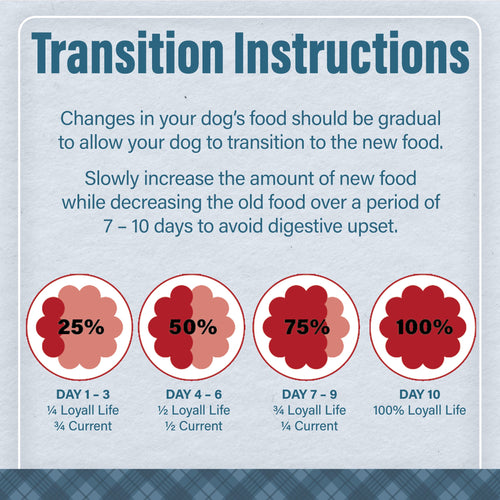 Nutrena® Loyall Life® Advanced Solutions Healthy Digestion Chicken & Rice Recipe Adult Dog Food