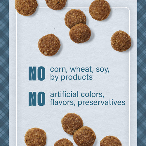 Nutrena® Loyall Life® Cat & Kitten Salmon & Ocean Fish Meal Recipe