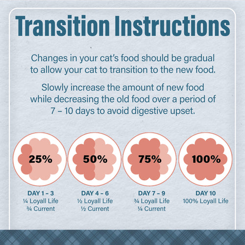 Nutrena® Loyall Life® Cat & Kitten Salmon & Ocean Fish Meal Recipe