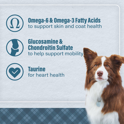 Nutrena® Loyall Life® Chicken & Brown Rice Recipe All Life Stages Dog Food