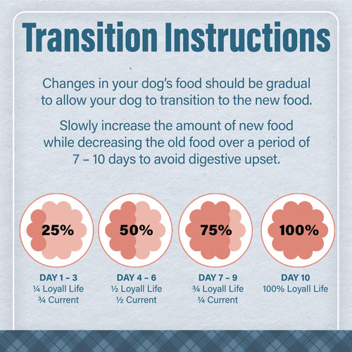 Nutrena® Loyall Life® Grain Free Salmon with Sweet Potato Recipe All Life Stages Dog Food
