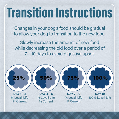 Nutrena® Loyall Life® Lamb Meal & Brown Rice Recipe Adult Dog Food