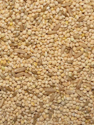 Volkman Pet Bird’s Delight Parakeet 25%