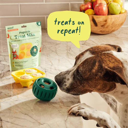 Woof Calming Pupsicle Mix