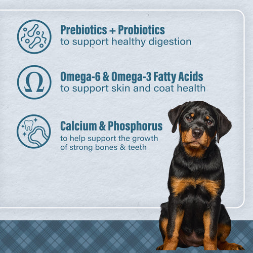 Nutrena® Loyall Life® Large Breed Puppy Chicken & Brown Rice Recipe