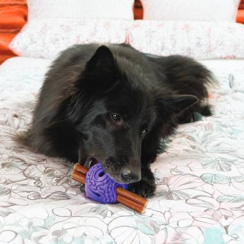 KONG Squeeze® Flex Balls Dog Toy