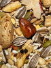 Volkman Seed Factory Avian Science Super Parrot