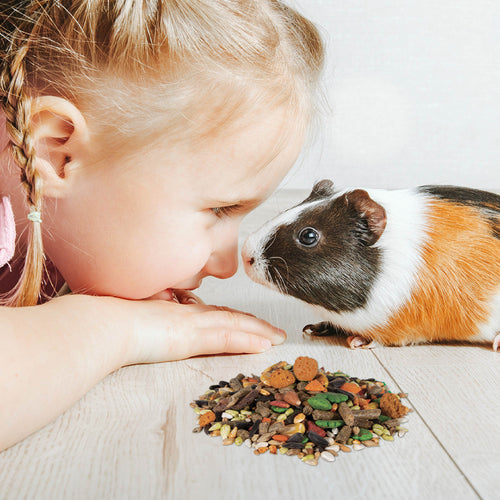 WILD HARVEST Trail Treats for Small Animal