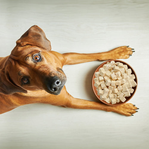 Weruva Dog Freeze Dried  Paw Lickin Chicken Freeze Dried