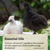 NatureWise® 22% Protein Silkie & Ornamental Layer Clean Crumb™ Poultry Feed