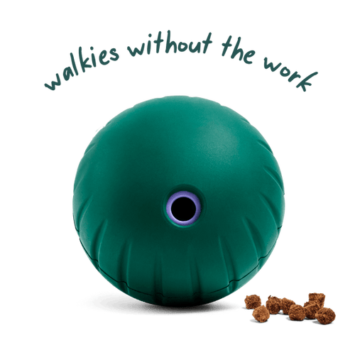 Woof Walkabout Dog Toy