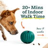 Woof Walkabout Dog Toy